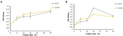 Biofilm formation of two genetically diverse Staphylococcus aureus isolates under beta-lactam antibiotics